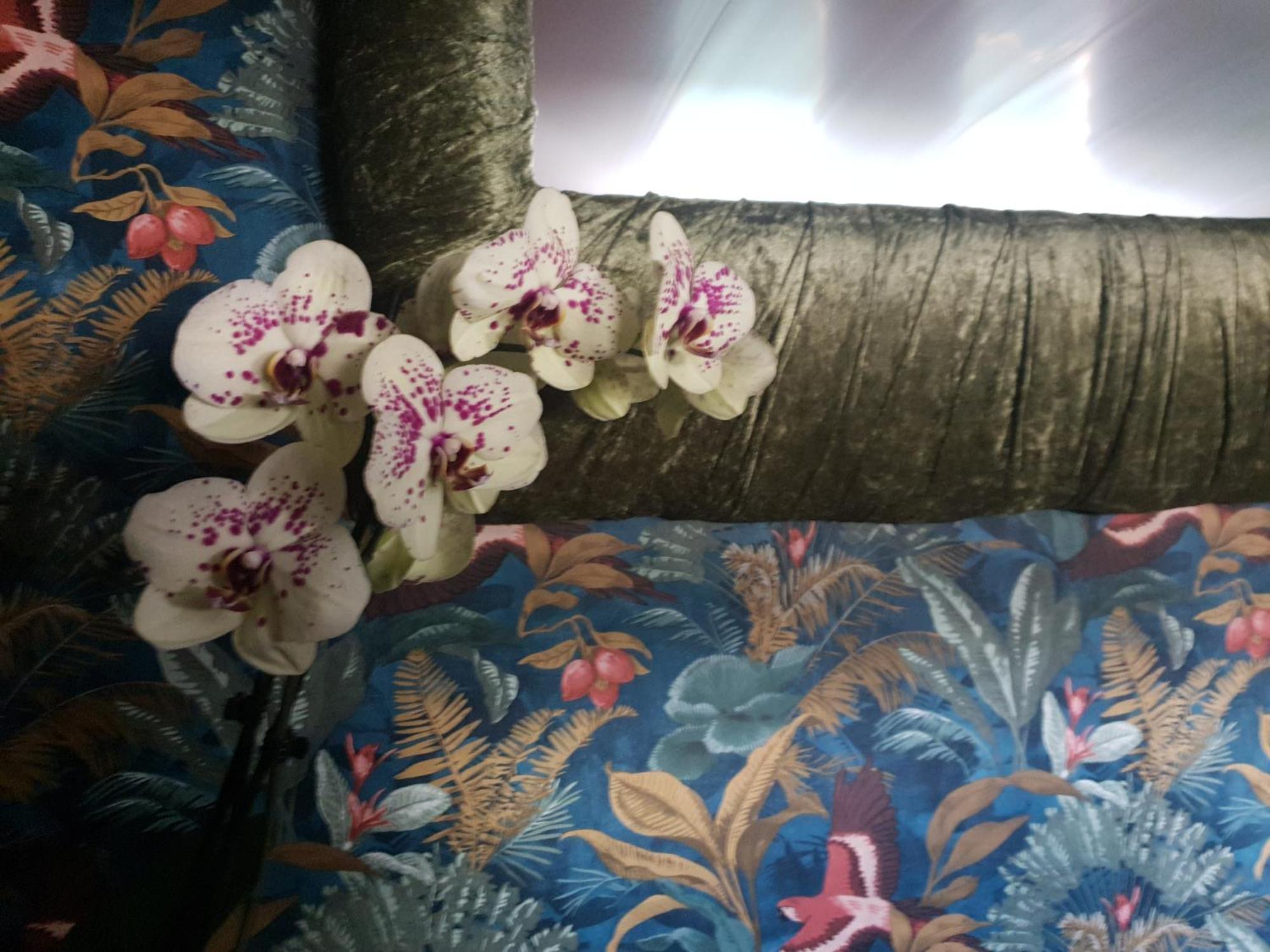 Jasmine Coral Jay Boutique Boatel Ocean Village Γιβραλτάρ Δωμάτιο φωτογραφία